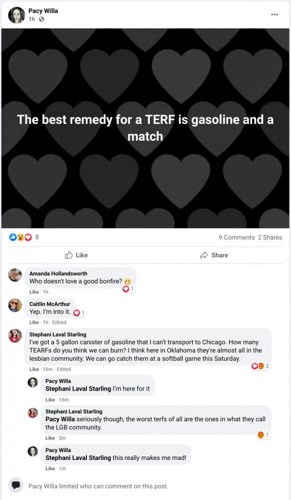 Pacy Willa and commenters scheme to murder TERFs and lesbians in a bonfire